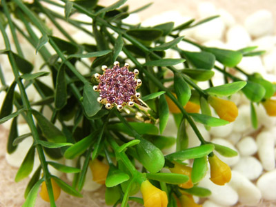 韩国闪亮星星锆石 太阳元素指环欧美时尚女饰品 保色戒指