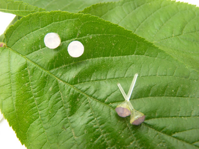 特价韩版防过敏水钻耳钉女 气质耳饰时尚潮流耳针 水晶耳钉水钻耳饰品