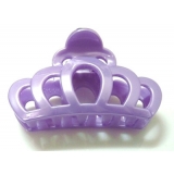 精美新时代/皇冠/精美爪夹