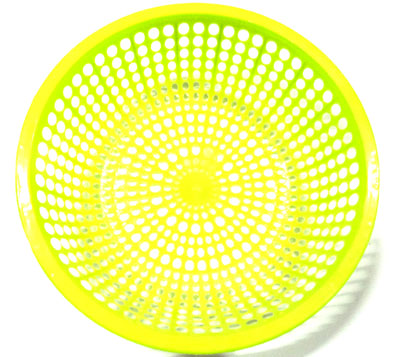 耐摔30圆眼菜蓝