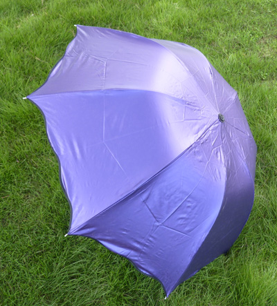 正品拱形月韩国公主伞 防紫外牙边线晴雨伞 亮胶荷叶菠萝伞	