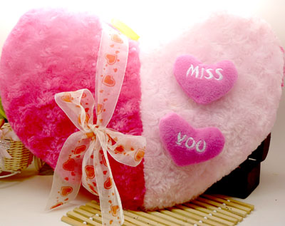 抱枕 结婚/情人节礼物 沙发汽车靠垫 /双心抱枕