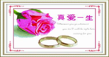 守候幸福（精品）