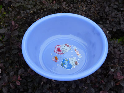 36cm塑料盆 脸盆 饭盆PP高级防摔--42盆	