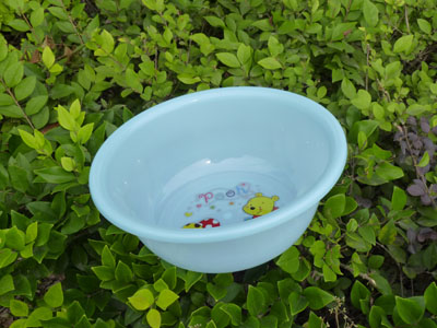 33cm塑料盆 脸盆 饭盆PP高级防摔--303盆
