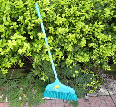 室内清洁笤帚家用扫水扫头发的塑料扫把 -8805扫把	