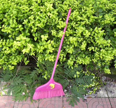  室内清洁笤帚家用扫水扫头发的塑料扫把 -8805扫把	