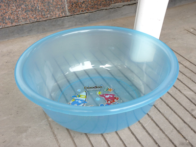 茶花脸盆 果蔬盆 小脸盆31CM 塑料-防摔盆透明盆302