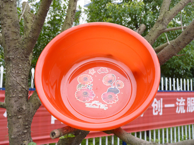 透明盆透明塑料面盆熟料盆子-低压盆026