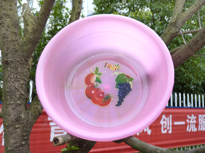 透明盆透明塑料面盆熟料盆子-低压盆026