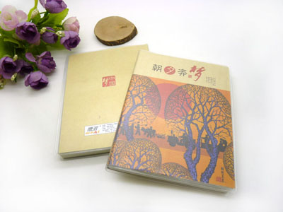 中国梦线圈本子 学生可爱笔记本日记本-64K胶套本(中国梦)DP-633