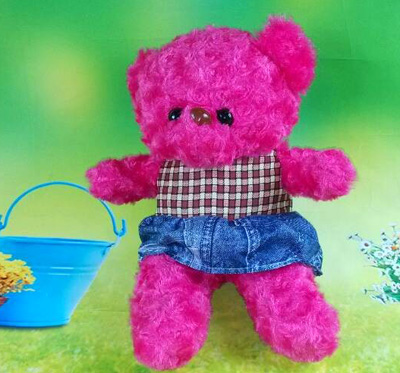 特价可爱熊大熊二毛绒玩具 小熊公仔玩偶 可爱娃娃熊毛绒玩具