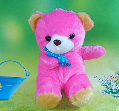 可爱泰迪熊玩具 抱抱毛绒熊 公仔圣诞节生日礼物女生小孩玩偶