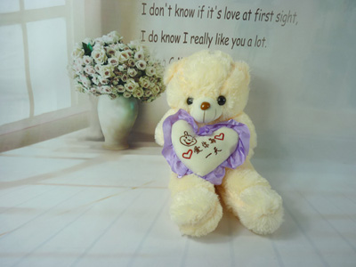 可爱泰迪熊抱枕布娃娃毛绒玩具 公仔抱抱熊送女朋友玩偶 -抱心熊-2号