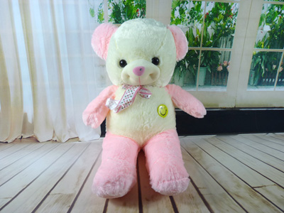 正品毛绒玩具熊  泰迪熊公仔 大号熊毛毛熊布娃娃 -笑脸熊-5