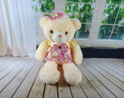 正品毛绒玩具熊泰迪熊公仔 大号熊毛毛熊布娃娃 -蕾丝裙熊-5