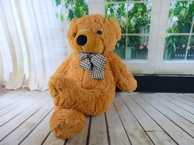 可爱抱抱熊 泰迪熊毛绒玩具 大号毛毛熊公仔布娃娃 领结熊 -80公分熊-5