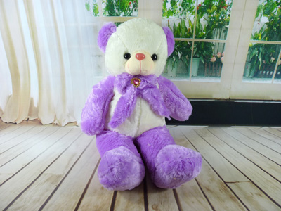 正品毛绒玩具熊  泰迪熊公仔 大号熊毛毛熊布娃娃 -砖领熊-5