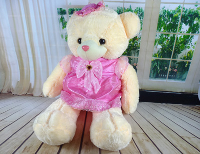 新款帽子裙熊泰极熊 公仔毛毛熊毛绒玩具女孩生日礼物 -小帽熊-3号