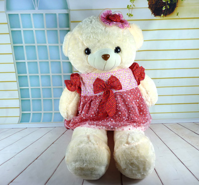 正品可爱带帽穿衣裙熊 抱抱熊毛绒公仔生日礼品 -带帽花裙熊1号-12号