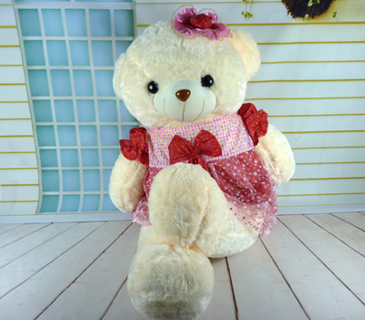 正品可爱带帽穿衣裙熊 抱抱熊毛绒公仔生日礼品 -带帽花裙熊3号-14号