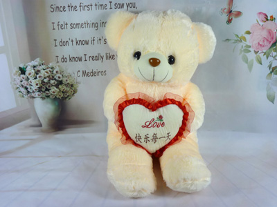 可爱泰迪熊抱枕布娃娃毛绒玩具公仔礼物抱抱熊送女朋友玩偶 -抱心熊3号-11号