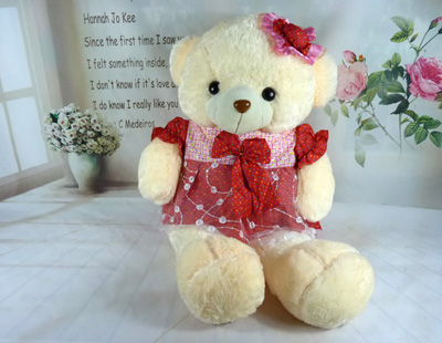 可爱泰迪熊花裙蝴蝶结带帽熊毛毛抱枕玩偶毛绒玩具礼物女生最爱 -带帽裙熊1号-12号